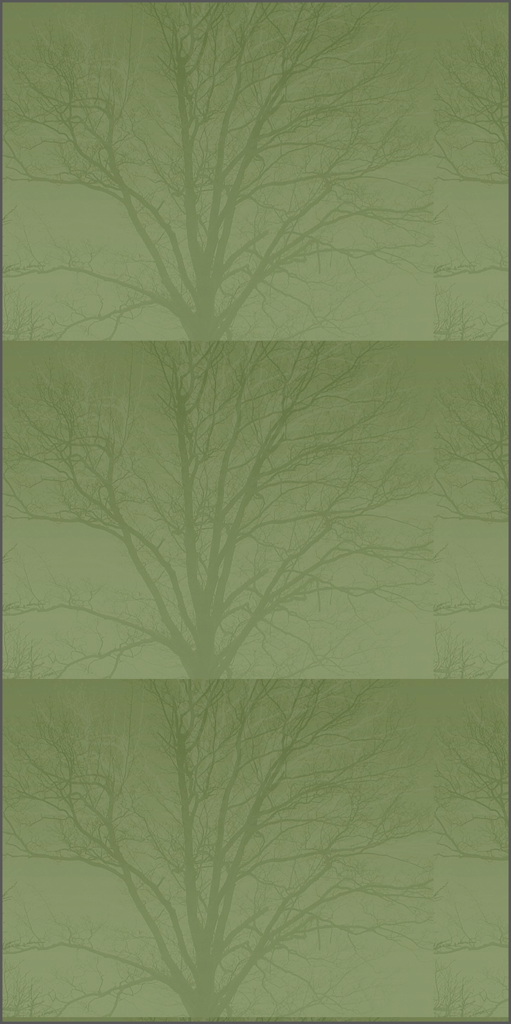 dk_wood_expressions_v23_2002026.gif