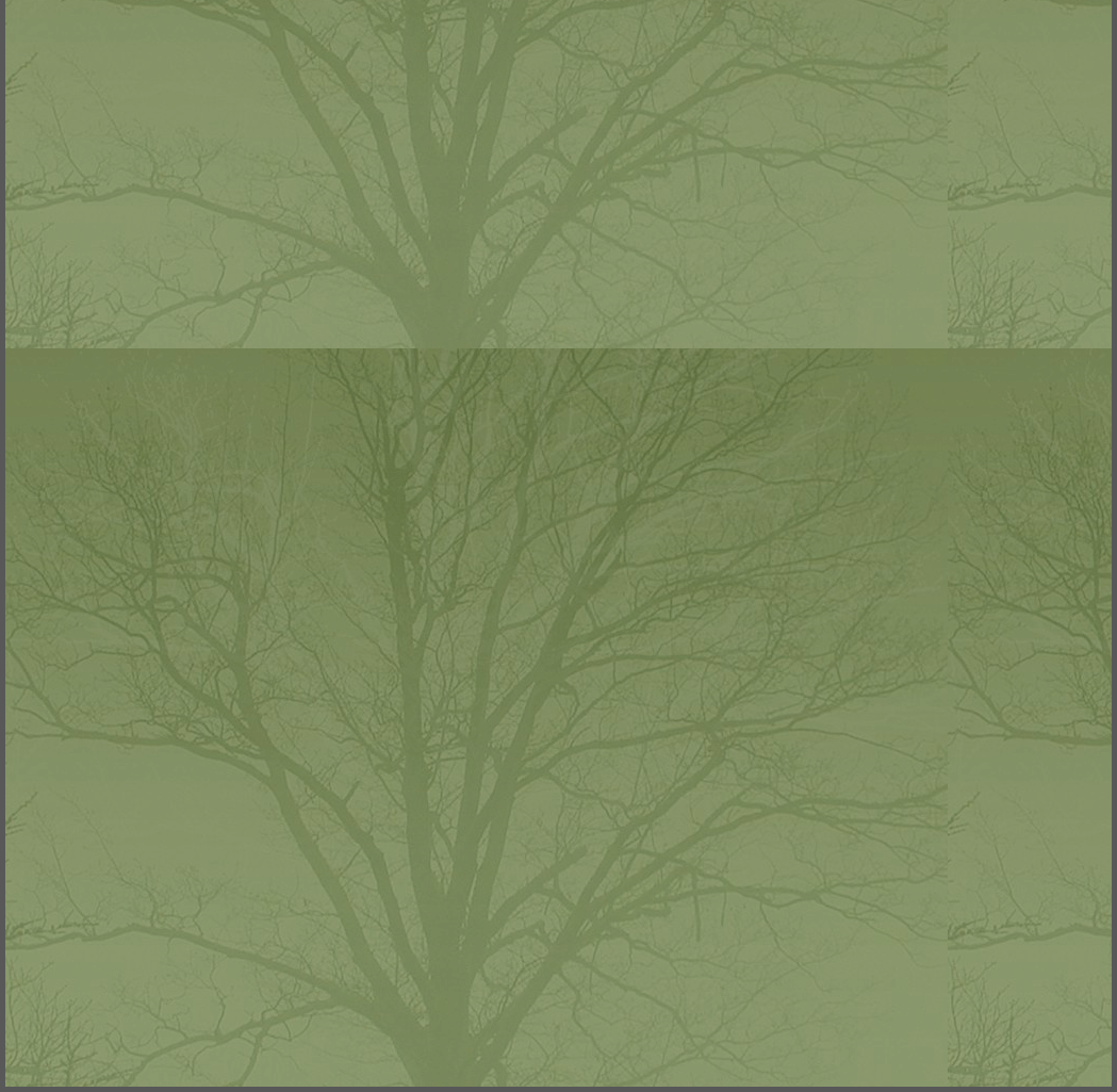 dk_wood_expressions_v23_2003010.gif